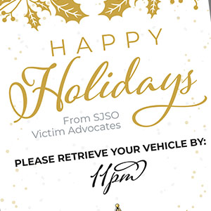 Sample image of holiday parking fundraiser ticket