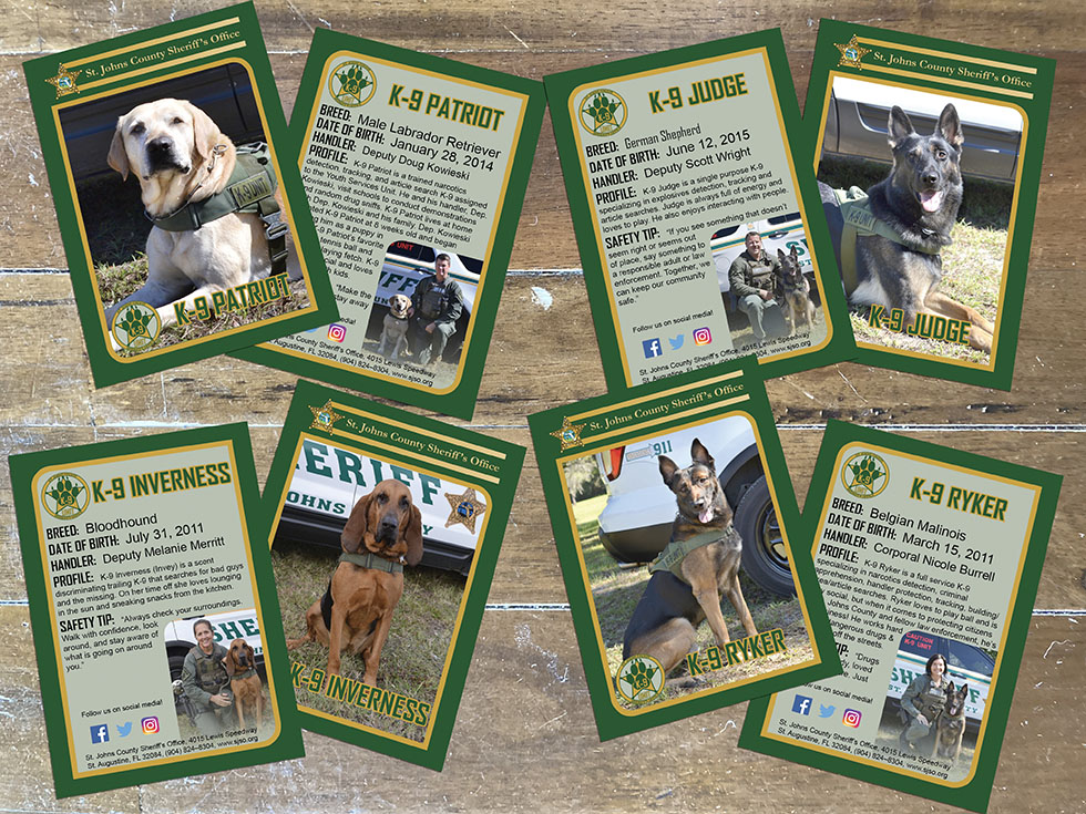 Collage of different k-9 cards
